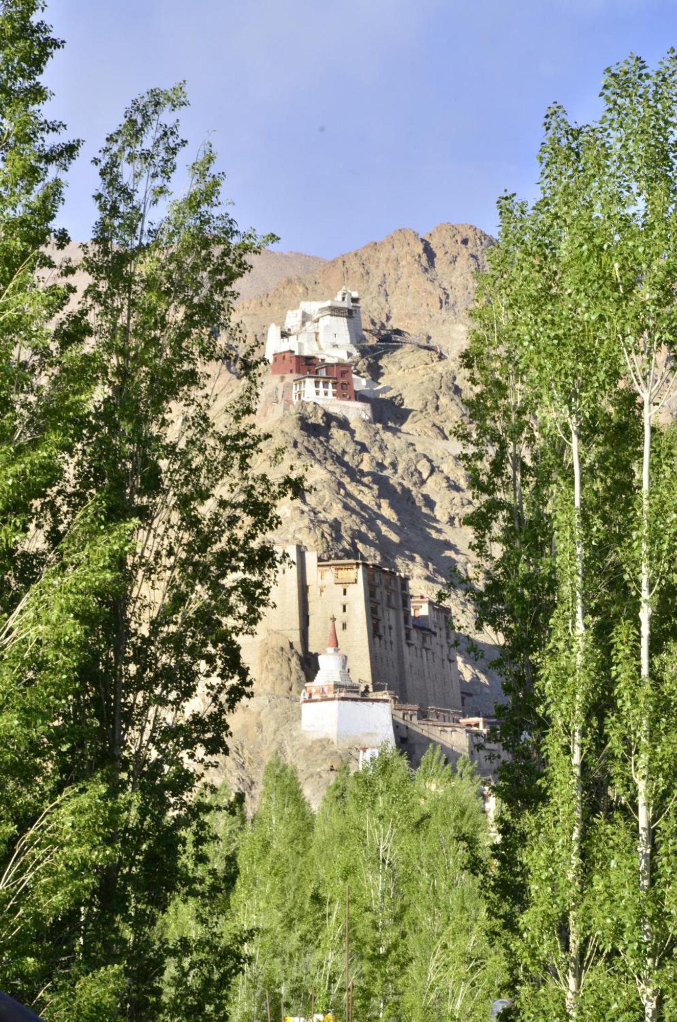 Hotel Lhalingkha Leh Extérieur photo